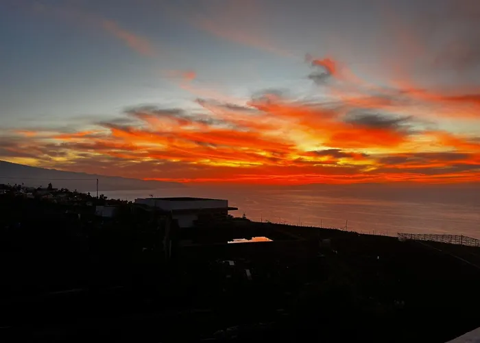 Armonia, Bodega Y Bano De Vapor Tacoronte